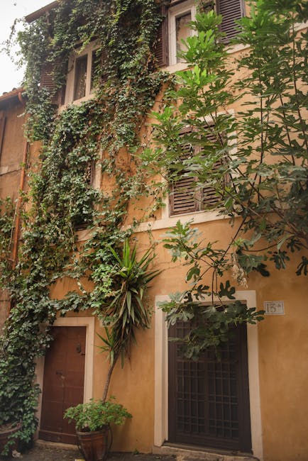 Building with lush green vines