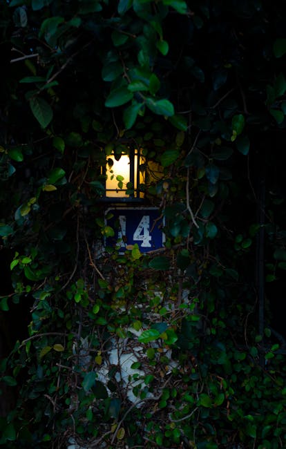 Path illuminated by lamp